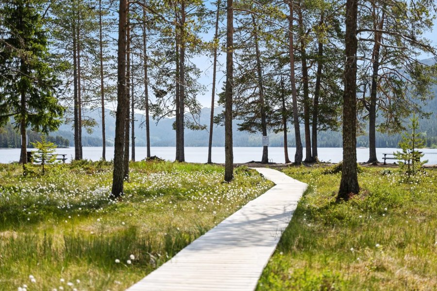 Fjellturer i Rauland