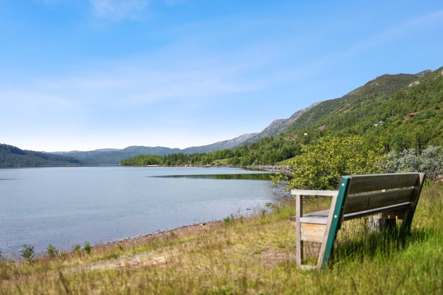 Fisker ved vannkanten